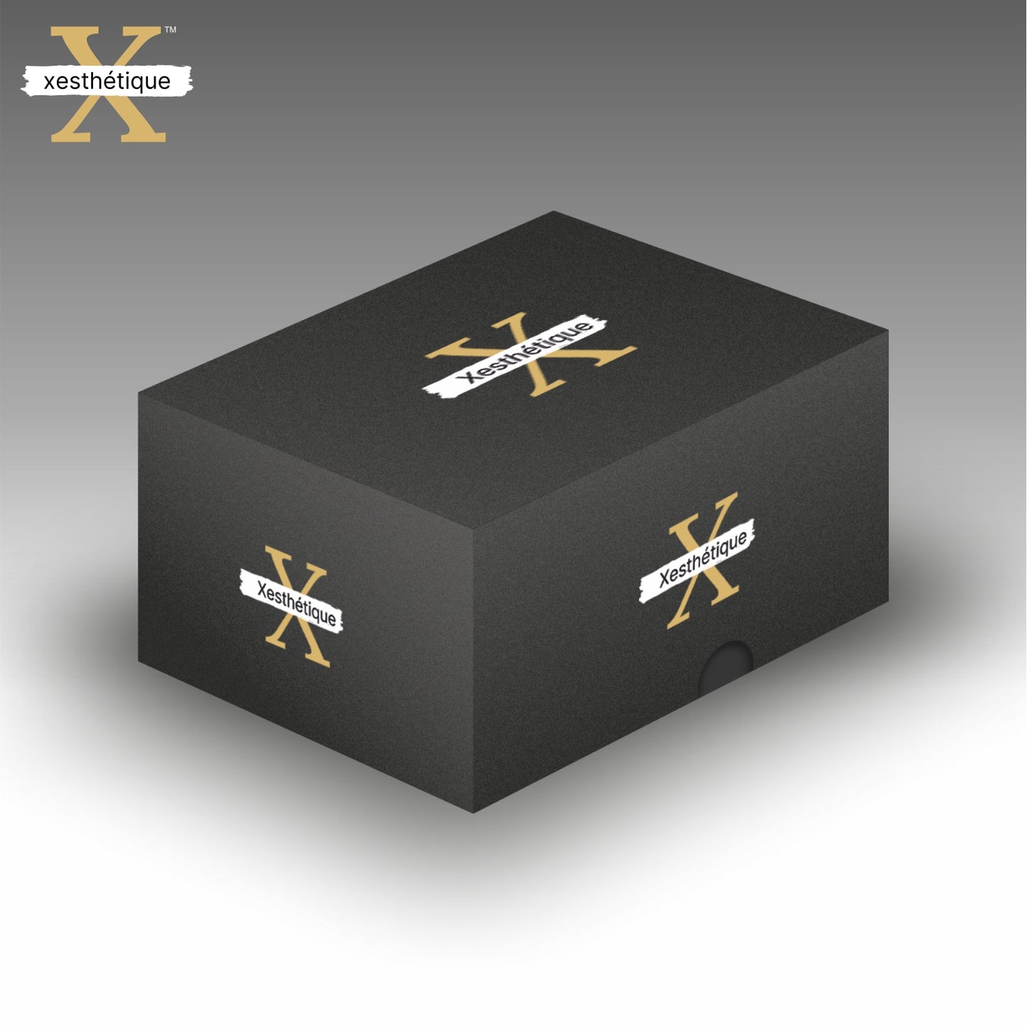 Xesthetique Morden S.S. 304 Mortise Door Lock Set – 8" Handle with Secure Both Side Ultra Key Cylinder MIL92