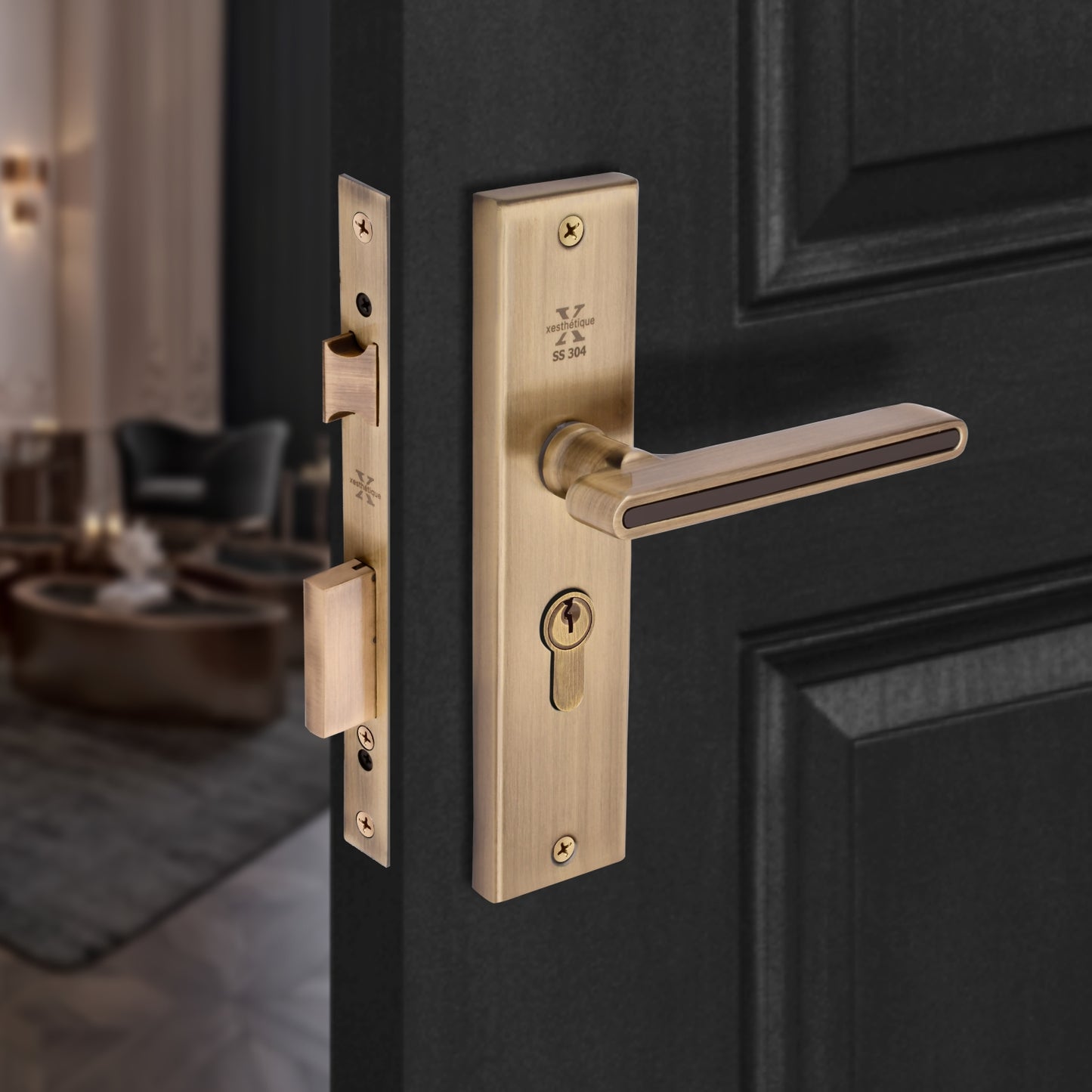 Xesthetique Morden S.S. 304 Mortise Door Lock Set – 8" Handle with Secure One Side Nobe Key Cylinder VI06