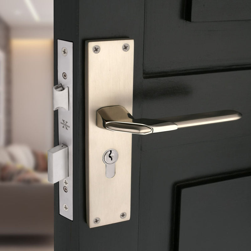Modern Zinc & SS Mortise Locks