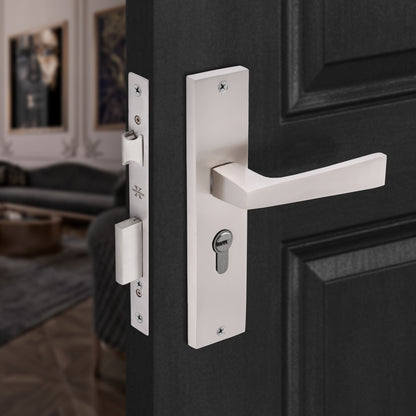 Xesthetique Premium Brass Mortise Door Lock Set – 8" Handle with Secure One Side Nobe Ultra Key Cylinder EZRA114