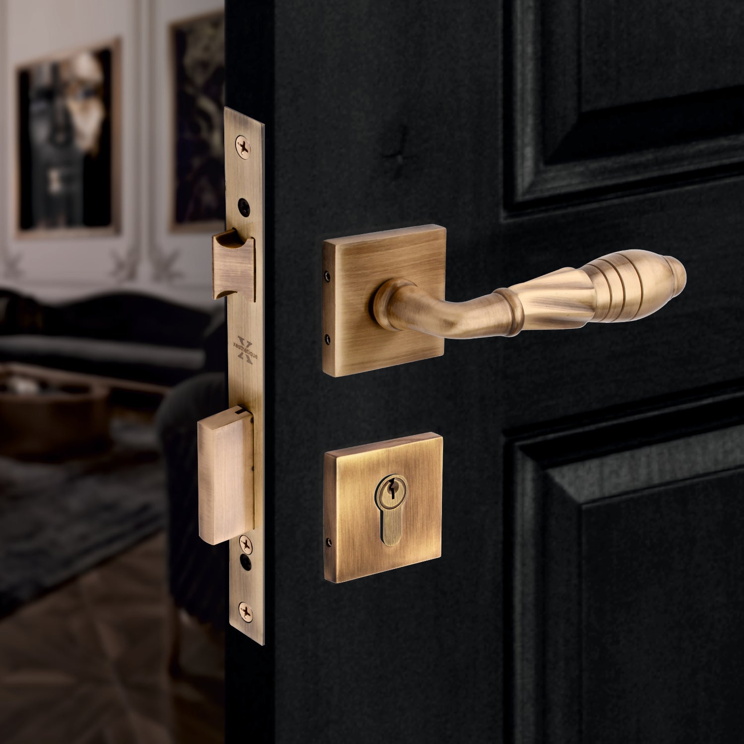 Xesthetique Vintage Brass Rose Door Lock Set – 10" Handle with Secure One Side Nobe Ultra Key 70MM/90MM Pin Cylinder HE142