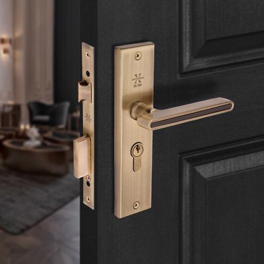 Xesthetique Morden S.S. 304 Mortise Door Lock Set – 8" Handle with Secure Both Side Key Cylinder VI05
