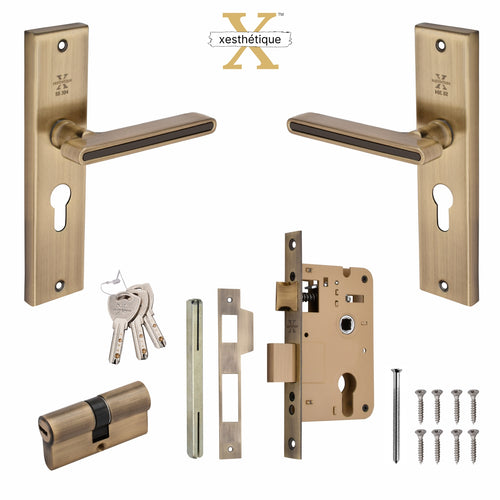 Xesthetique Morden S.S. 304 Mortise Door Lock Set – 8" Handle with Secure Both Side Key Cylinder VI05