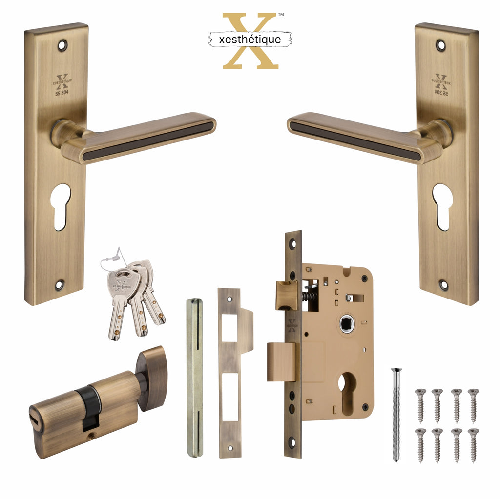 Xesthetique Morden S.S. 304 Mortise Door Lock Set – 8" Handle with Secure One Side Nobe Key Cylinder VI06