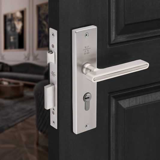 Xesthetique Morden S.S. 304 Mortise Door Lock Set – 8" Handle with Secure One Side Nobe Key Cylinder VI06